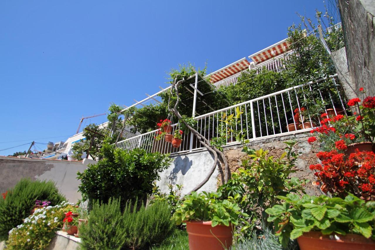 Apartments Ante Dubrovnik Ngoại thất bức ảnh